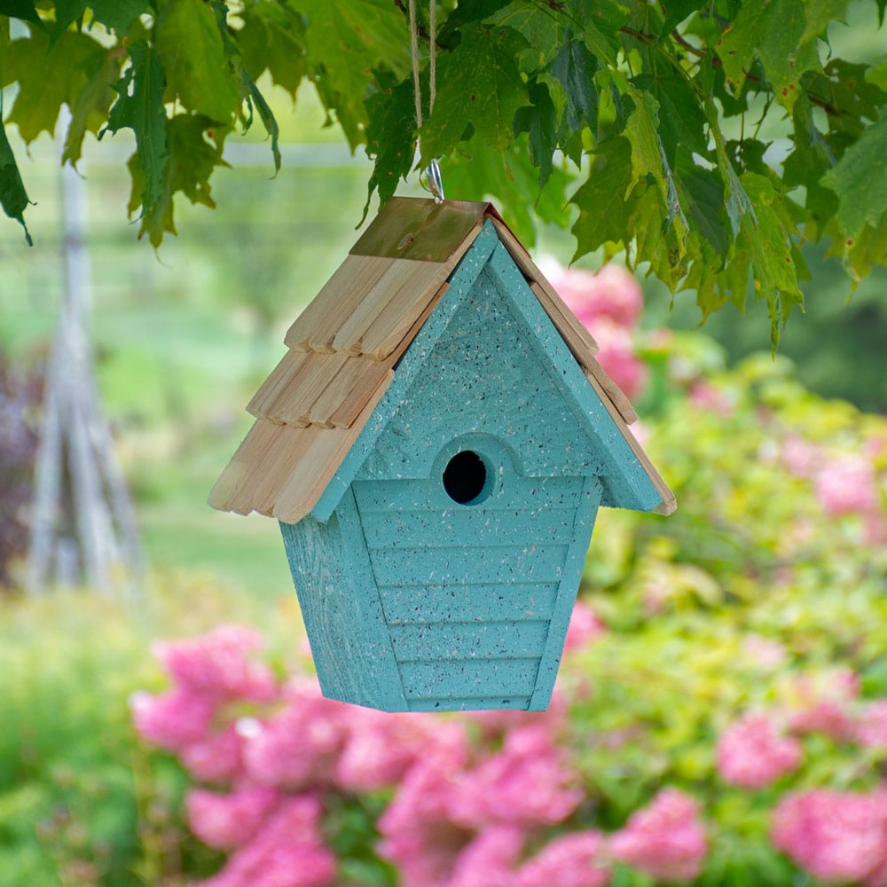 For The Birder