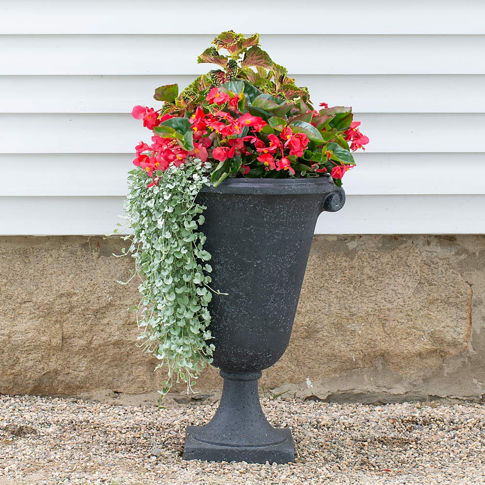 Large Containers & Planters