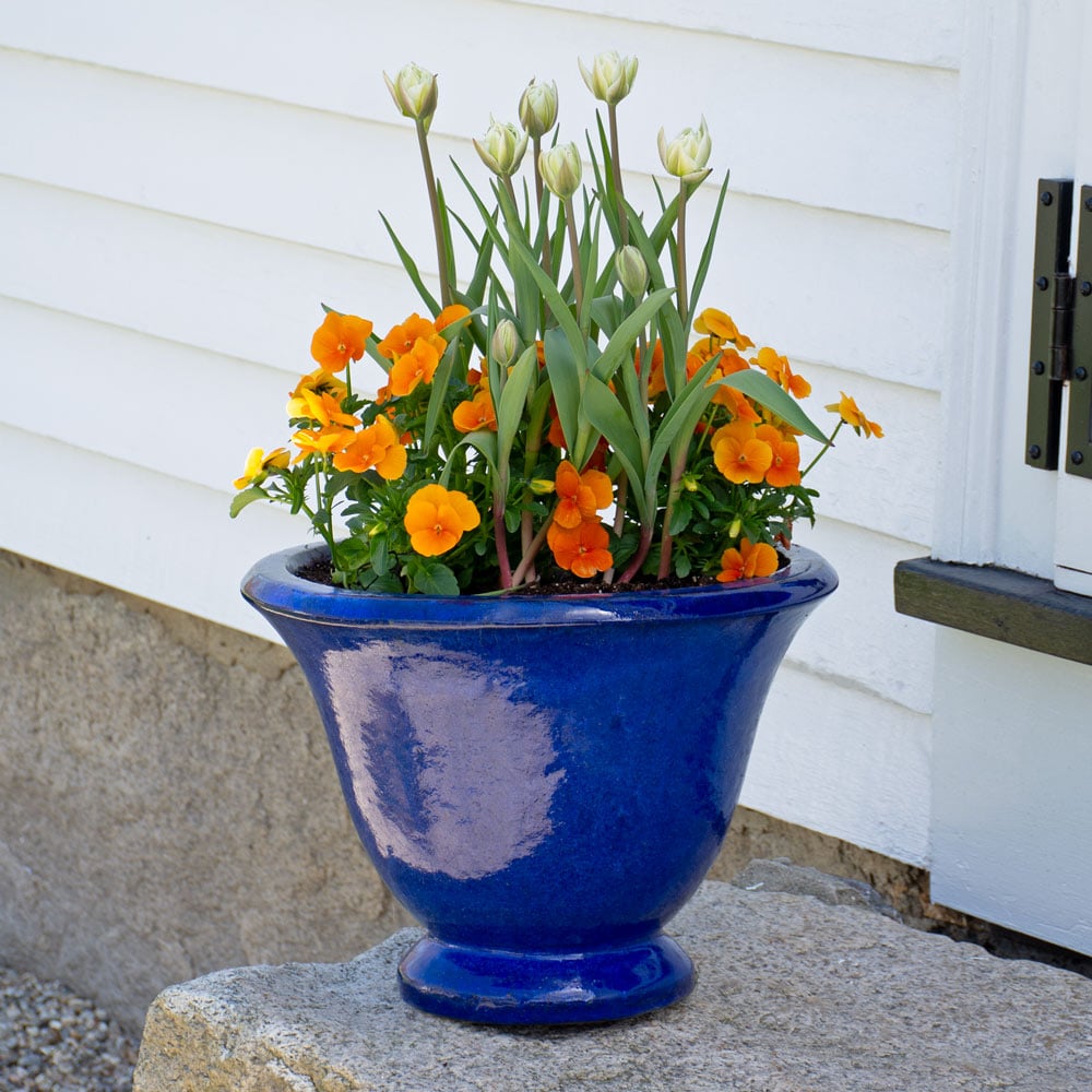 Medium Containers & Planters