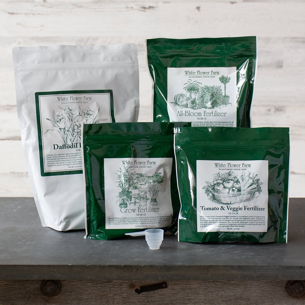 Soil & Fertilizer