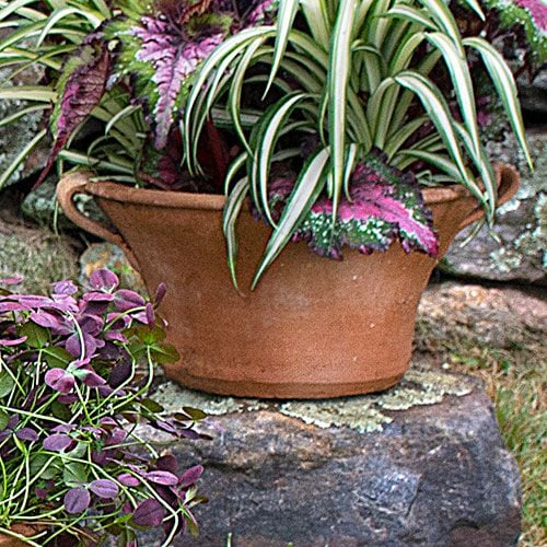 Cretan Pot Ikaros