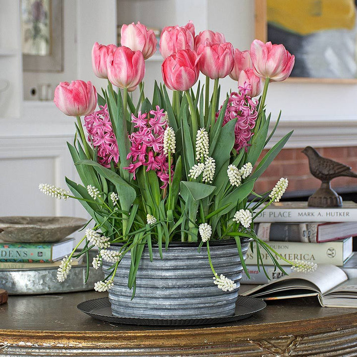 Three Months of Winter Bulb Gardens