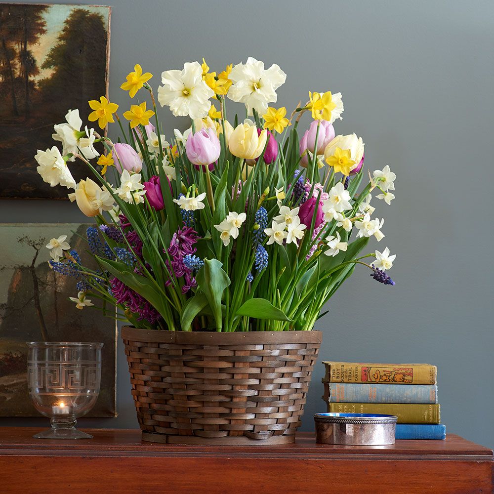 Three Princes Bulb Garden in X-large woven basket