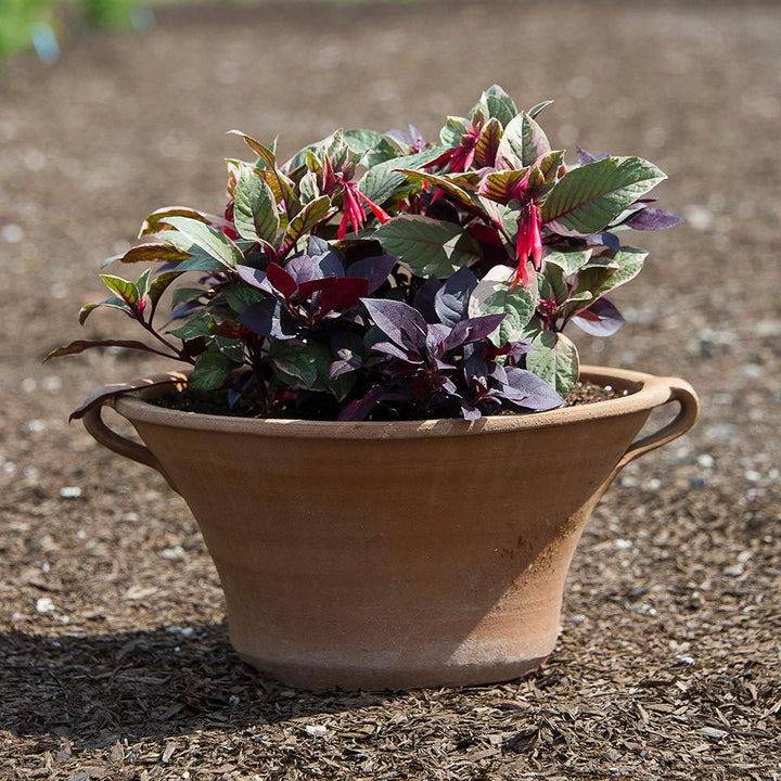 Cretan Pot Ikaros