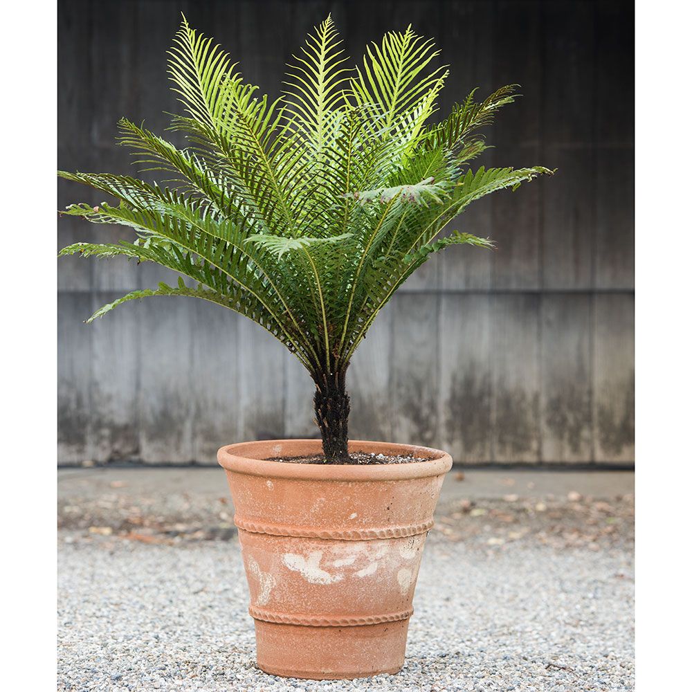 Cretan Pot Andreas