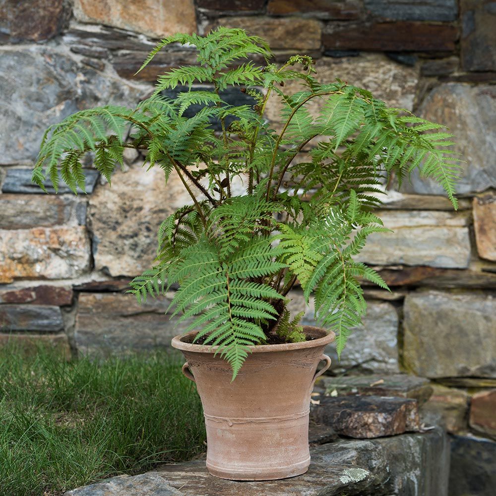 Cretan Pot Konstantina