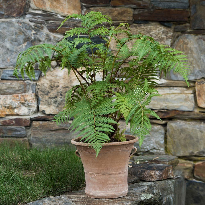 Cretan Pot Konstantina