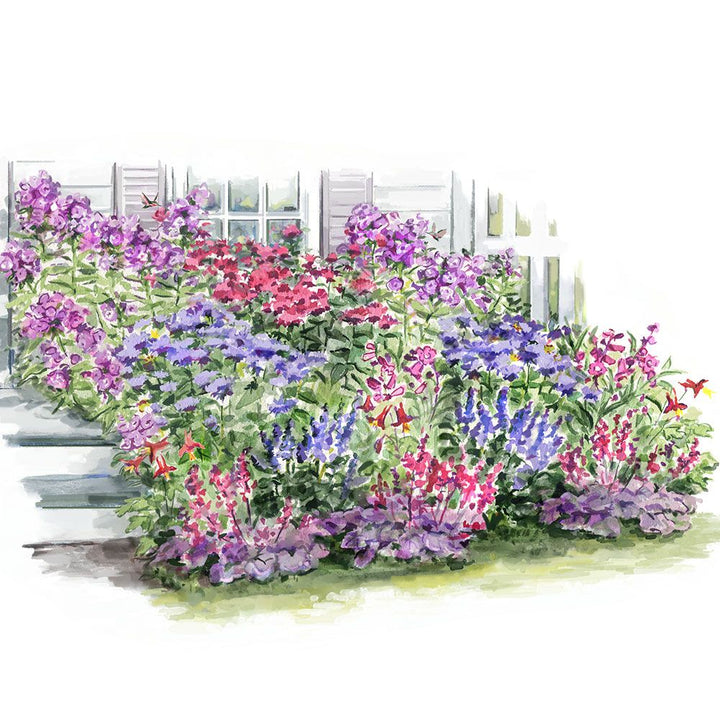Long-Season Hummingbird Garden