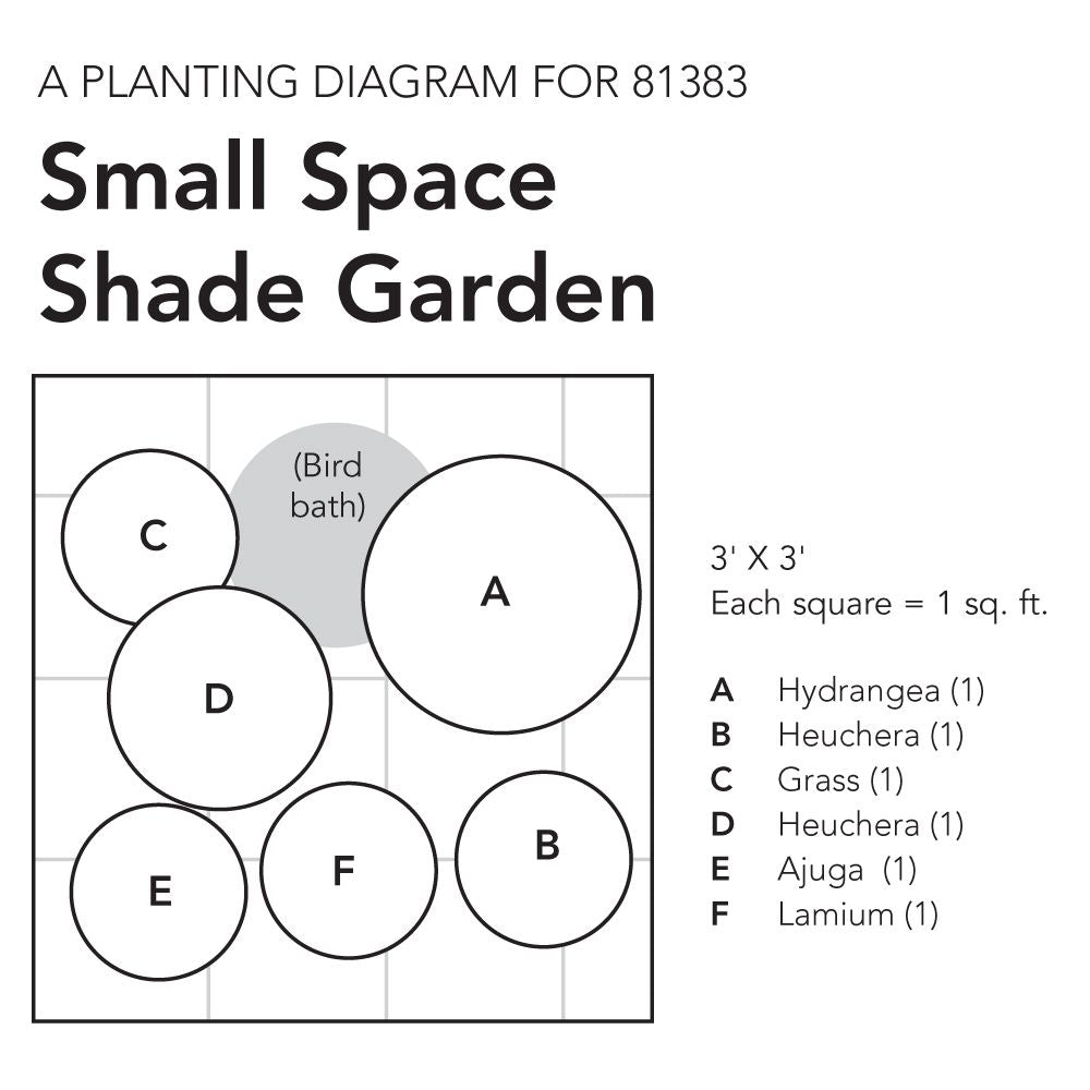 Small Space Shade Garden