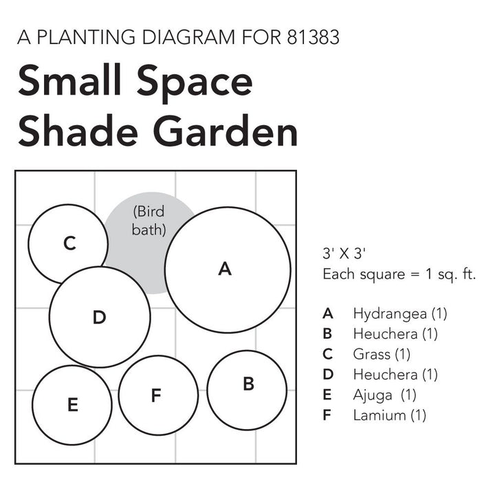Small Space Shade Garden