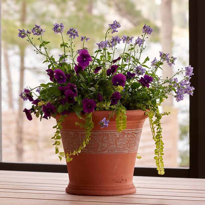 Sicilian Lemon Pot