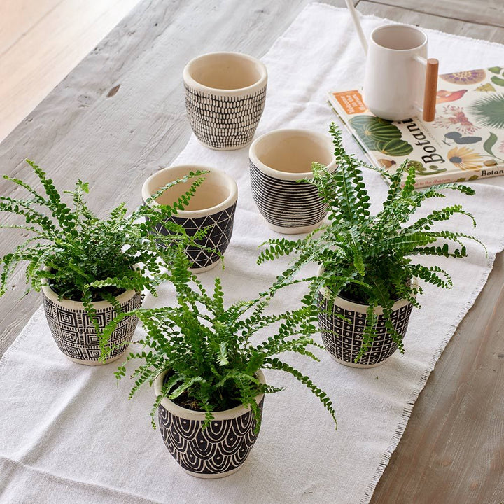 Togo Pots Trio