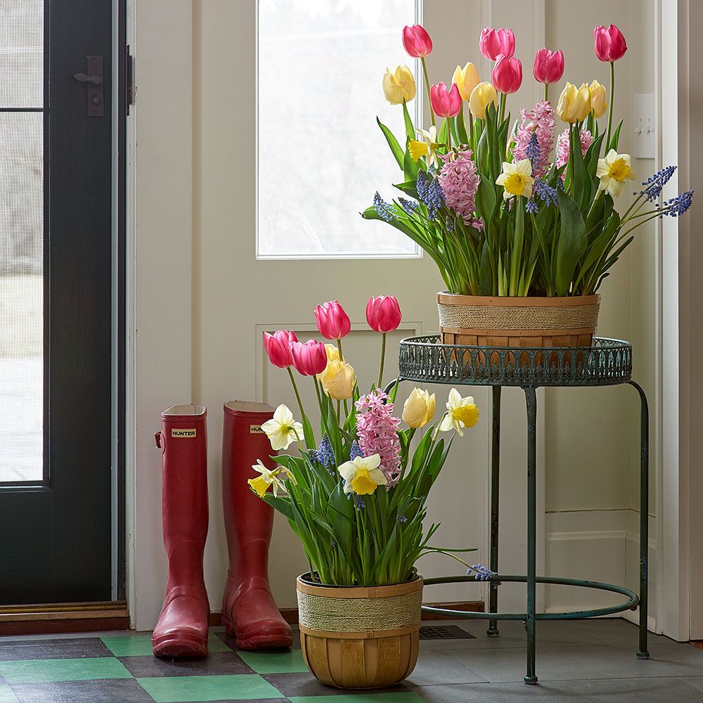 Burst of Spring Bulb Garden in medium wooden basket