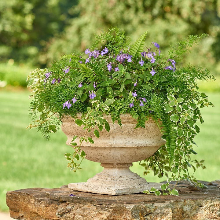 Milano Urn