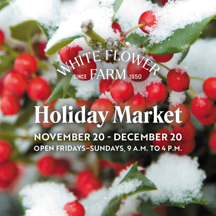 Holiday Market