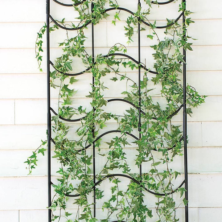 Waves of Bloom Trellis