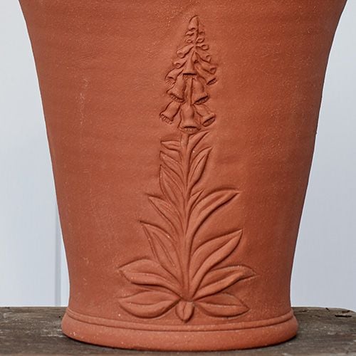 RHS Foxglove Flowerpot