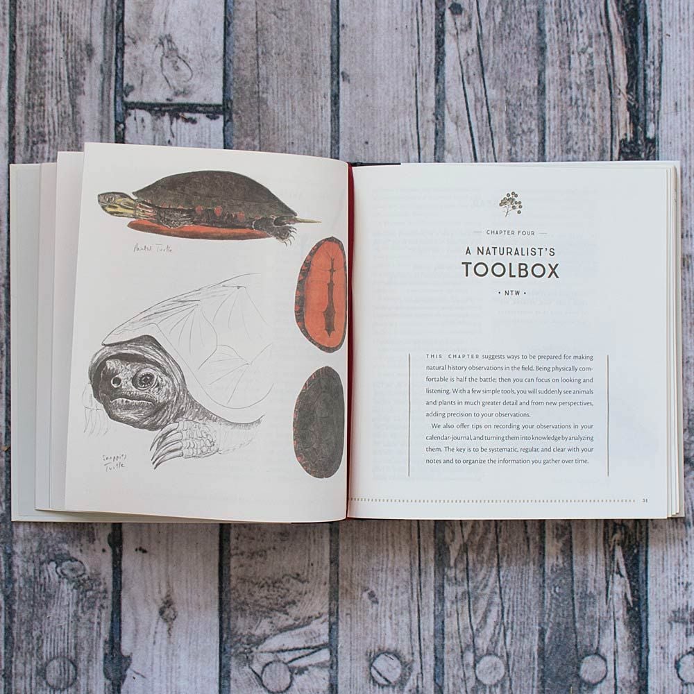 The Naturalist's Notebook