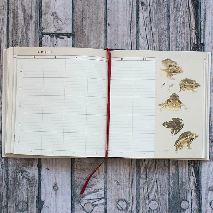 The Naturalist's Notebook