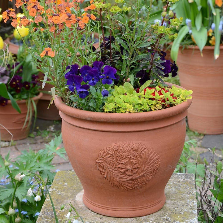Willow Pot