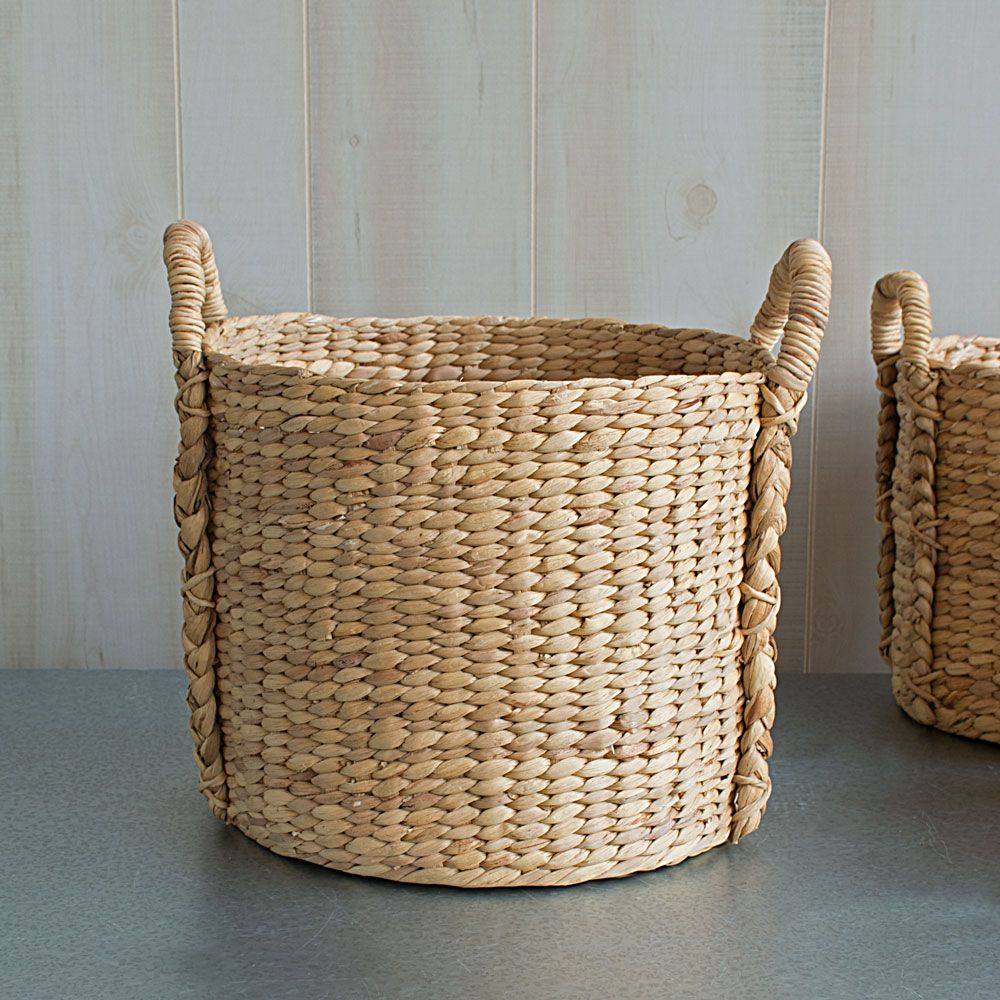 Lady Palm in Water Hyacinth basket