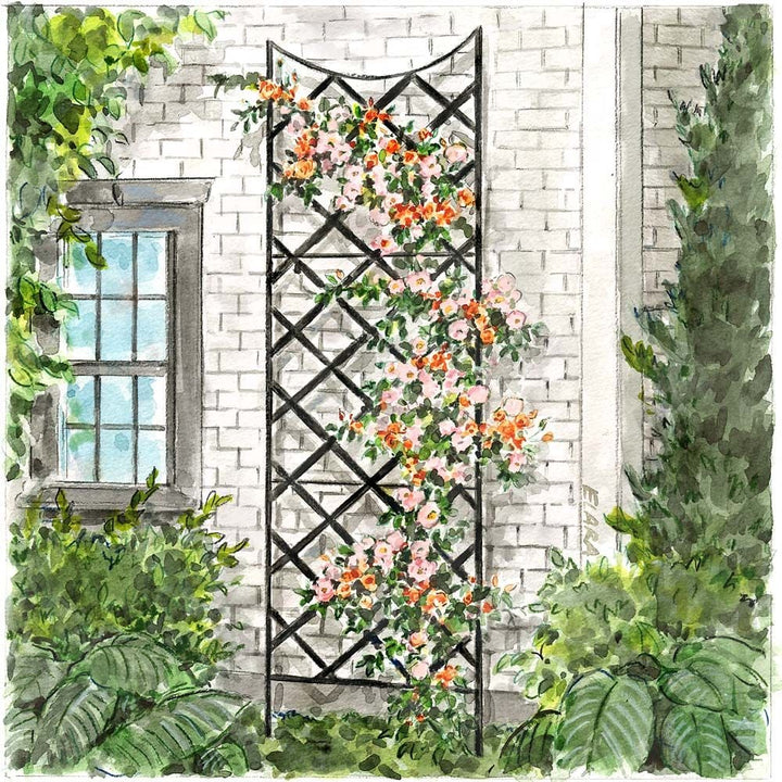 Large Rose Trellis