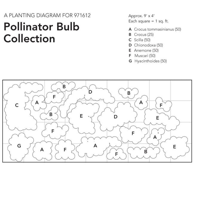 Pollinator Bulb Collection