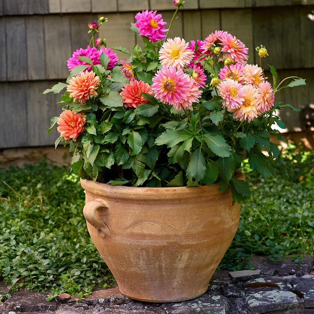 Cretan Pot Roumbaki Mallia