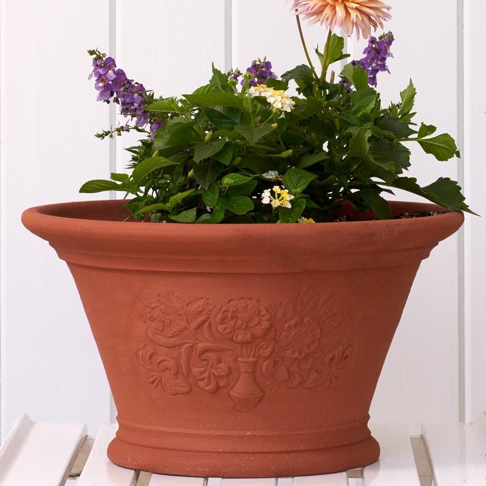RHS Roses and Lilies Pot