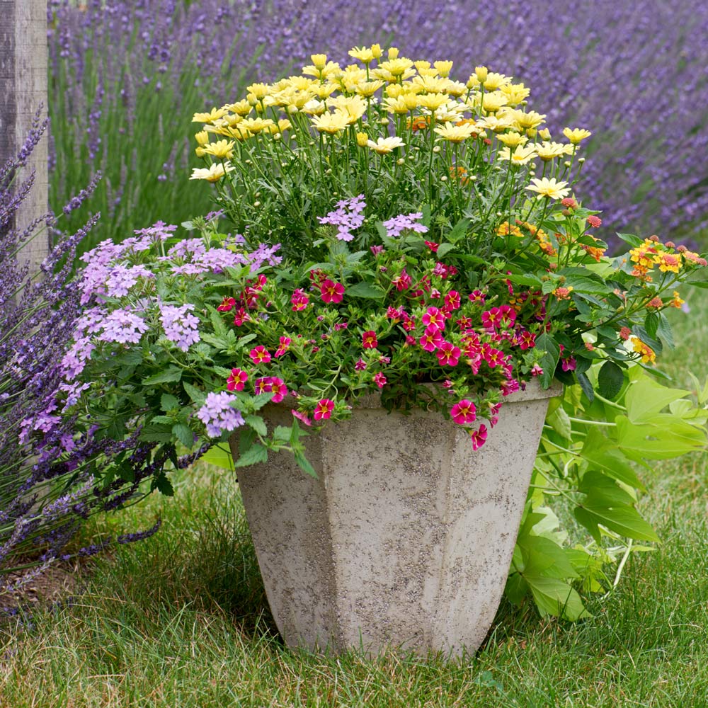 Milano Octagon Planter