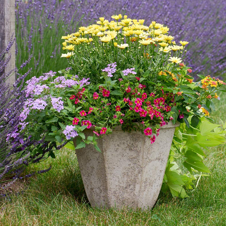 Milano Octagon Planter