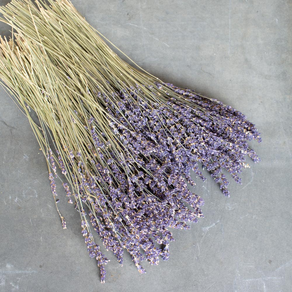 Dried Lavender Bundle