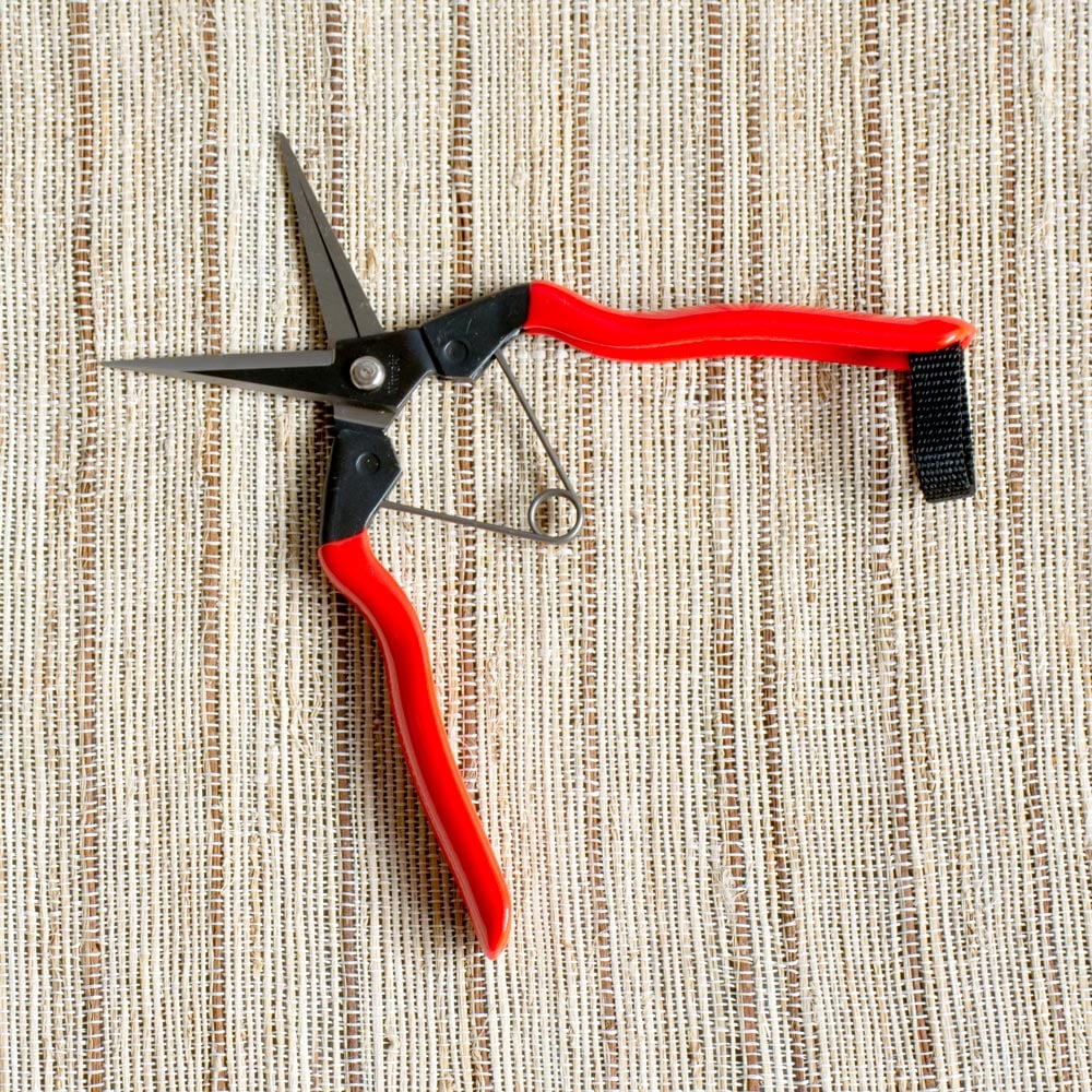 Japanese Garden Snips