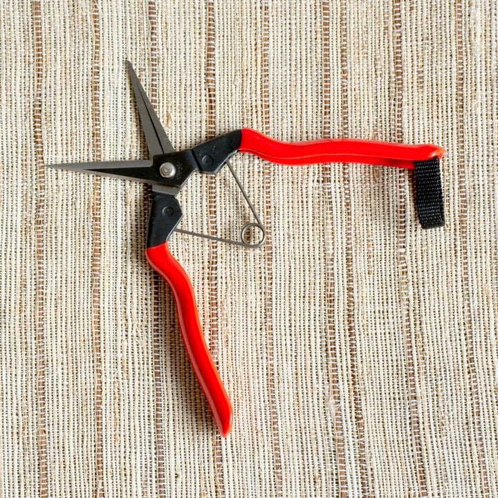 Japanese Garden Snips