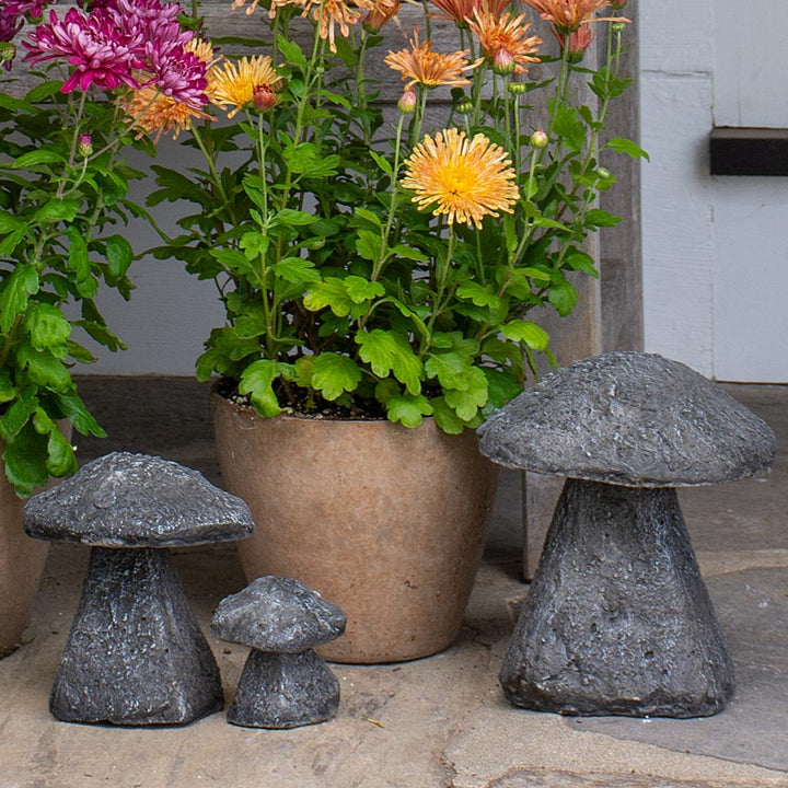 Enchanted Garden Mushroom Trio
