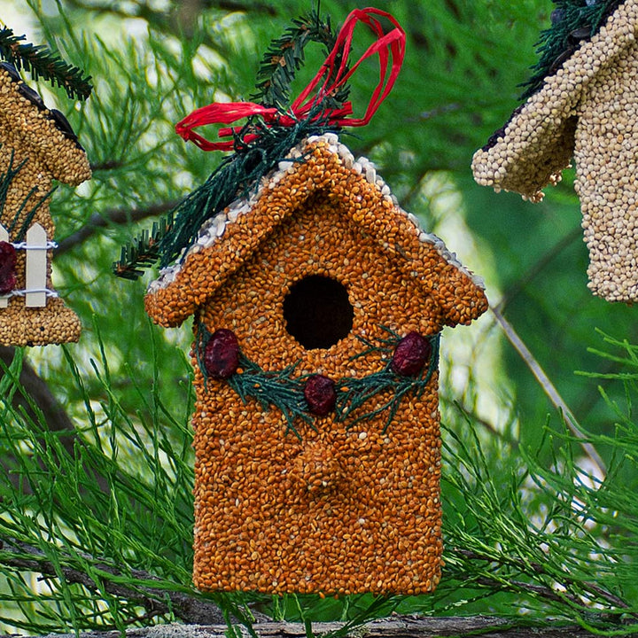 Trio of Birdseed Cottages