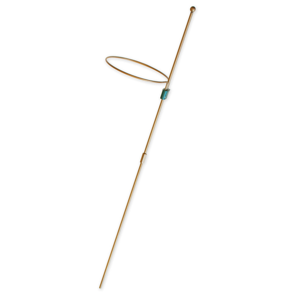 Antique Gold Amaryllis Stake