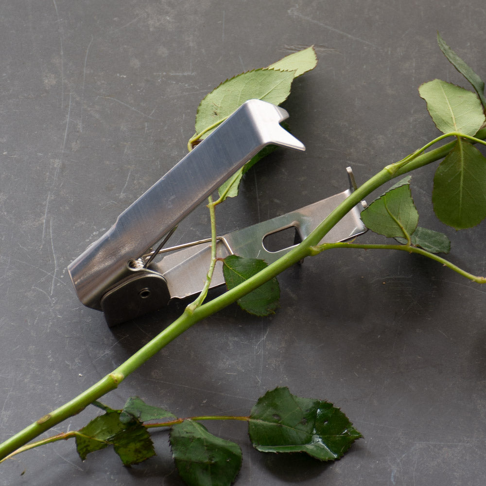Thorn Stripper