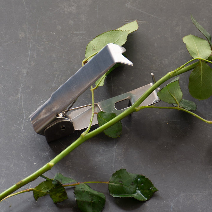Thorn Stripper