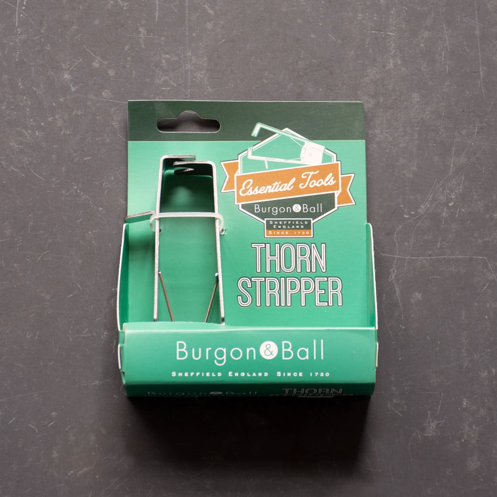 Thorn Stripper