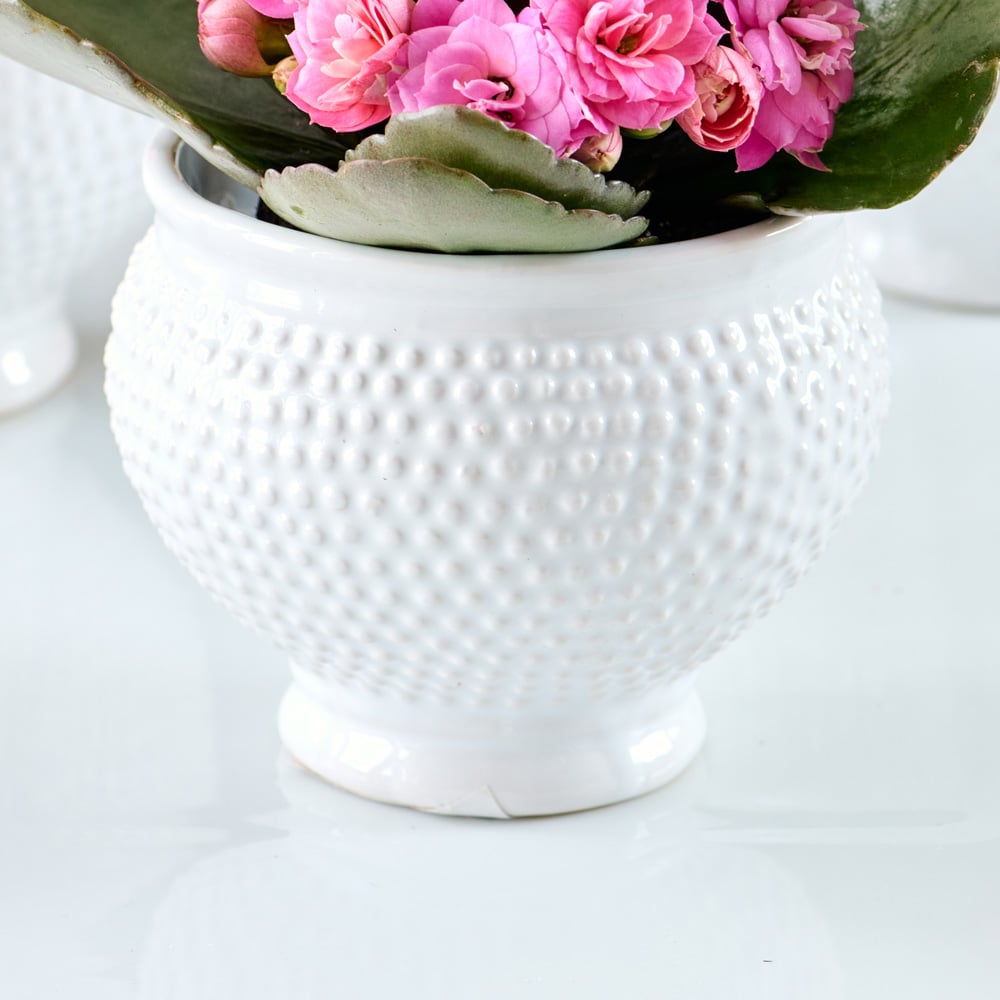 Dotted Ceramic Cachepot, small