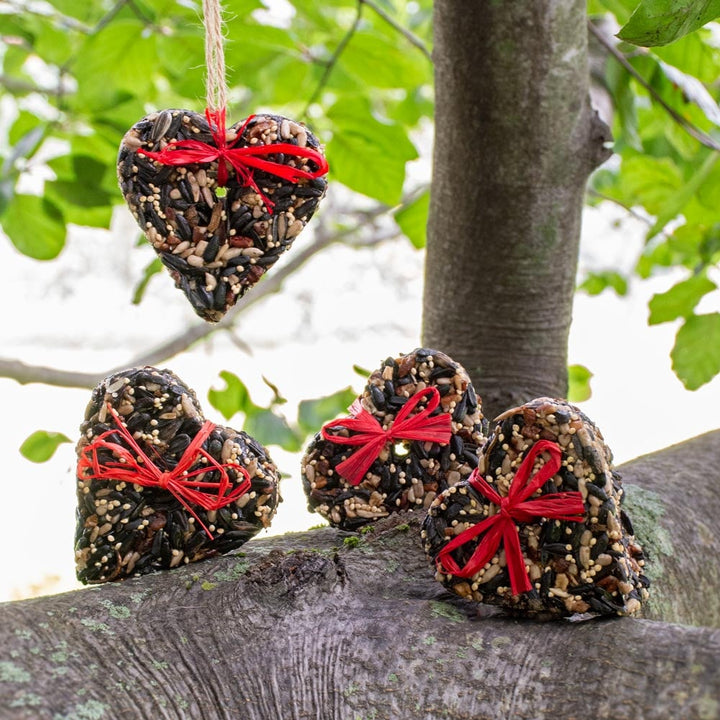 Quartet of Birdseed Hearts