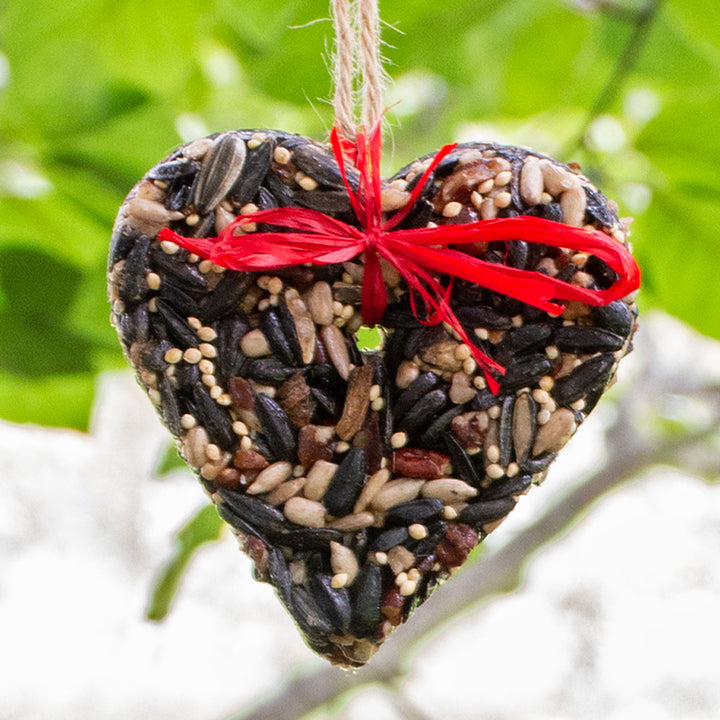 Quartet of Birdseed Hearts