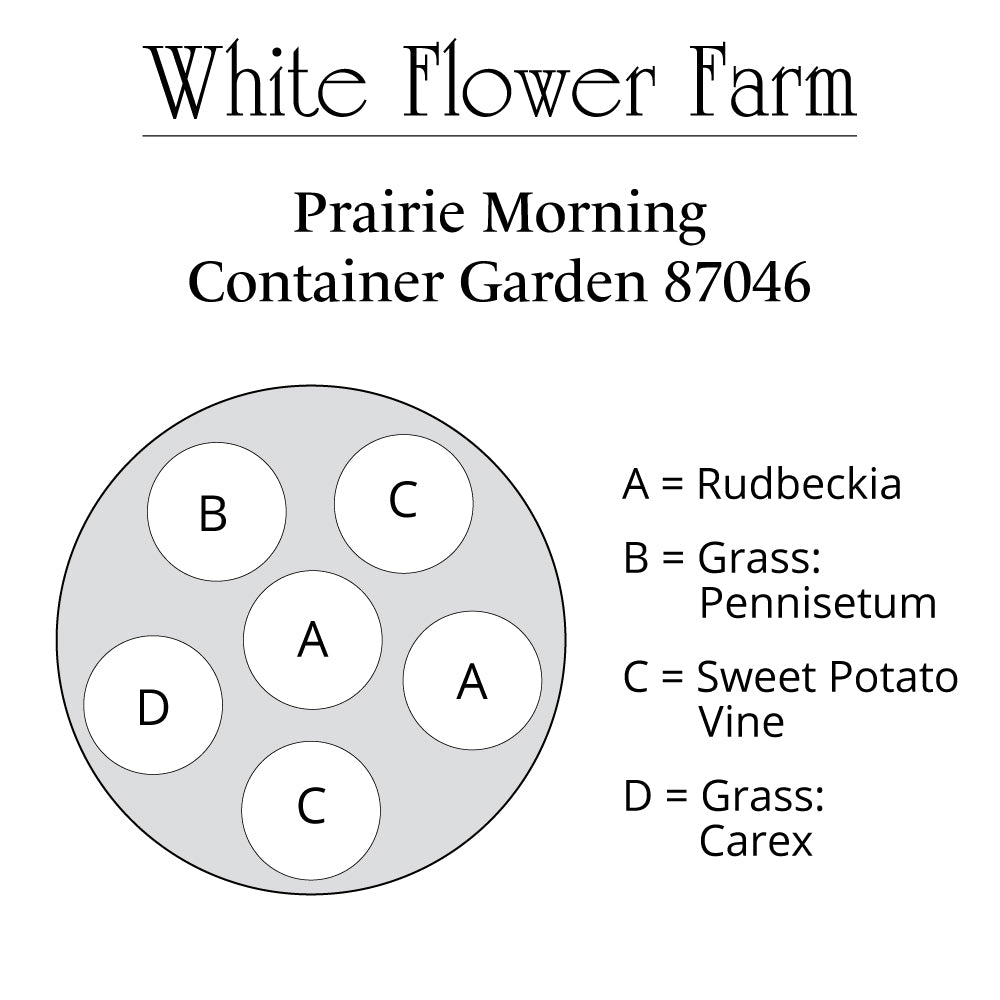 Prairie Morning Container Garden