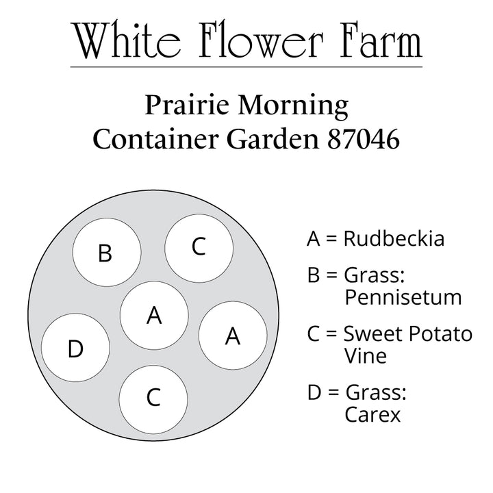 Prairie Morning Container Garden