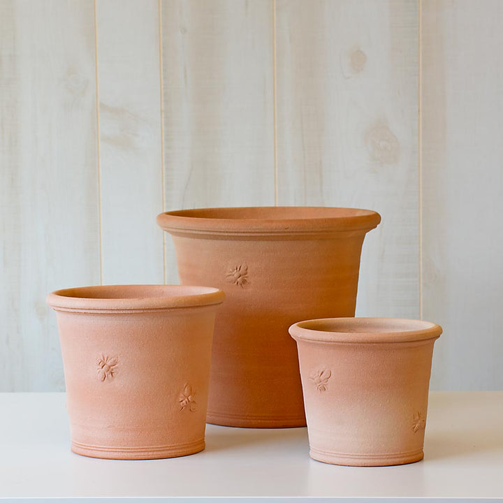 Armscote Bee Pot