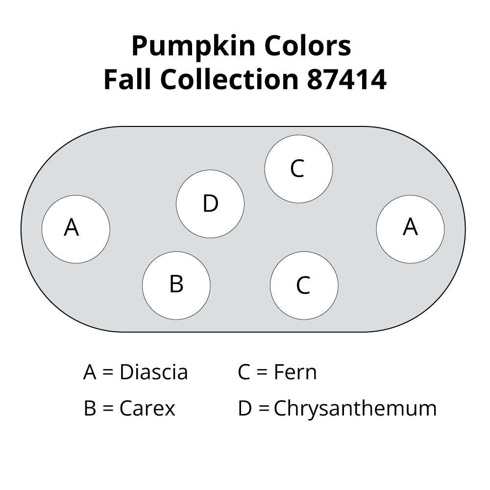 Pumpkin Colors Fall Container Garden