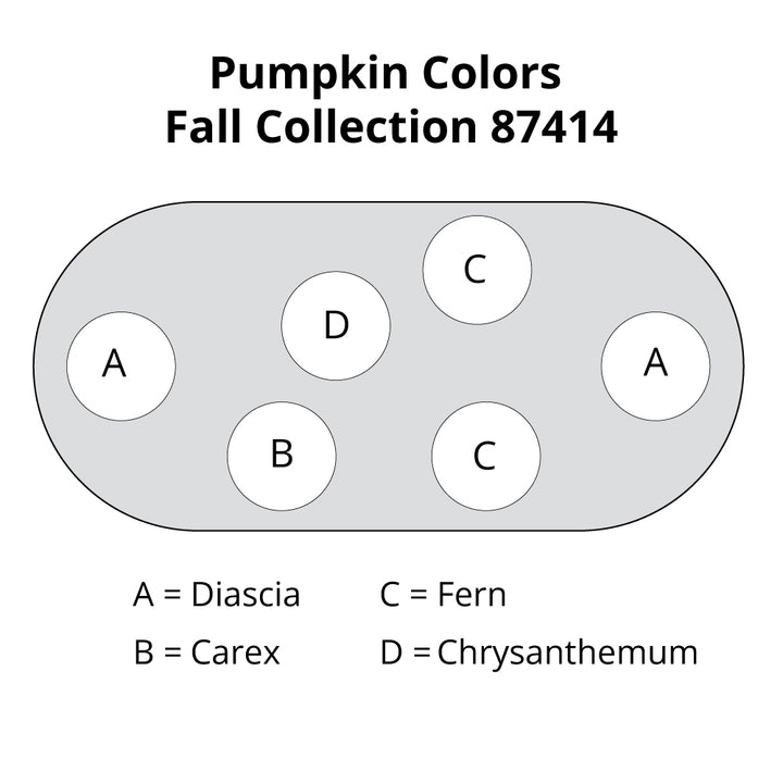 Pumpkin Colors Fall Container Garden