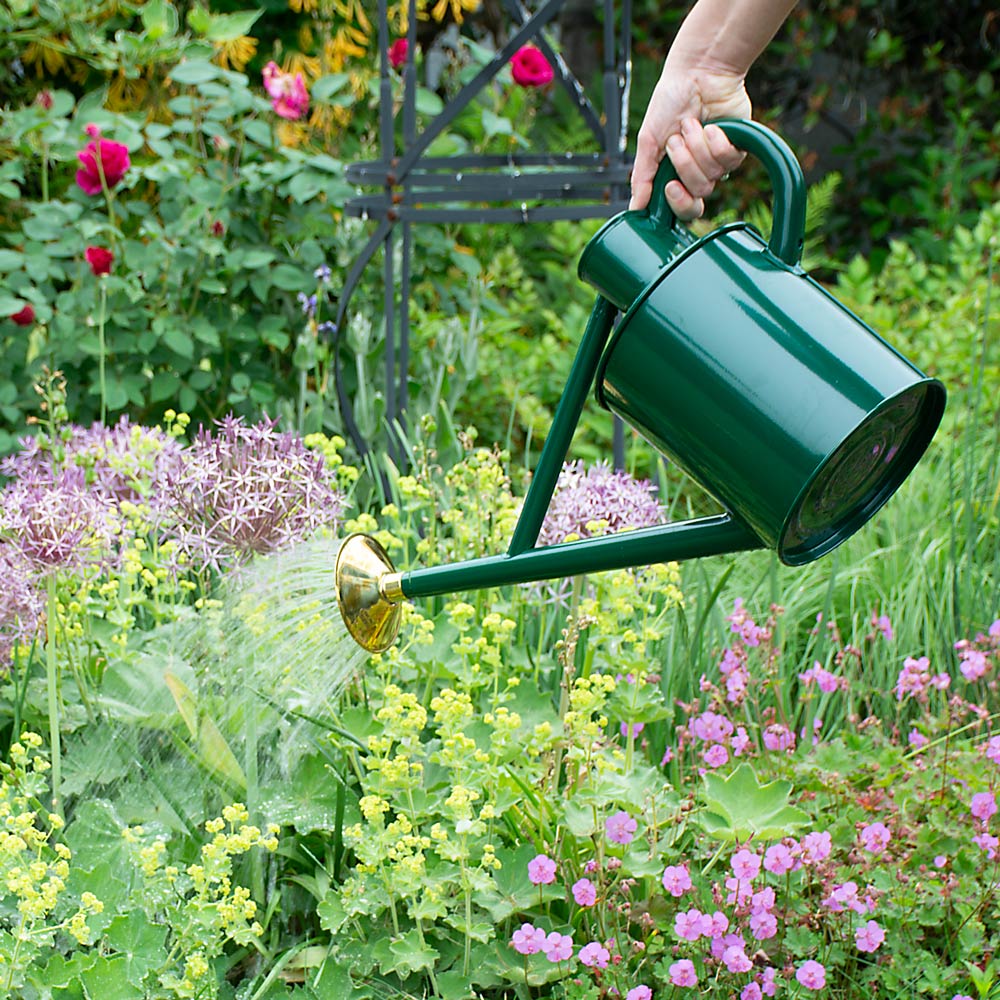 Haws Bearwood Brook Watering Can
