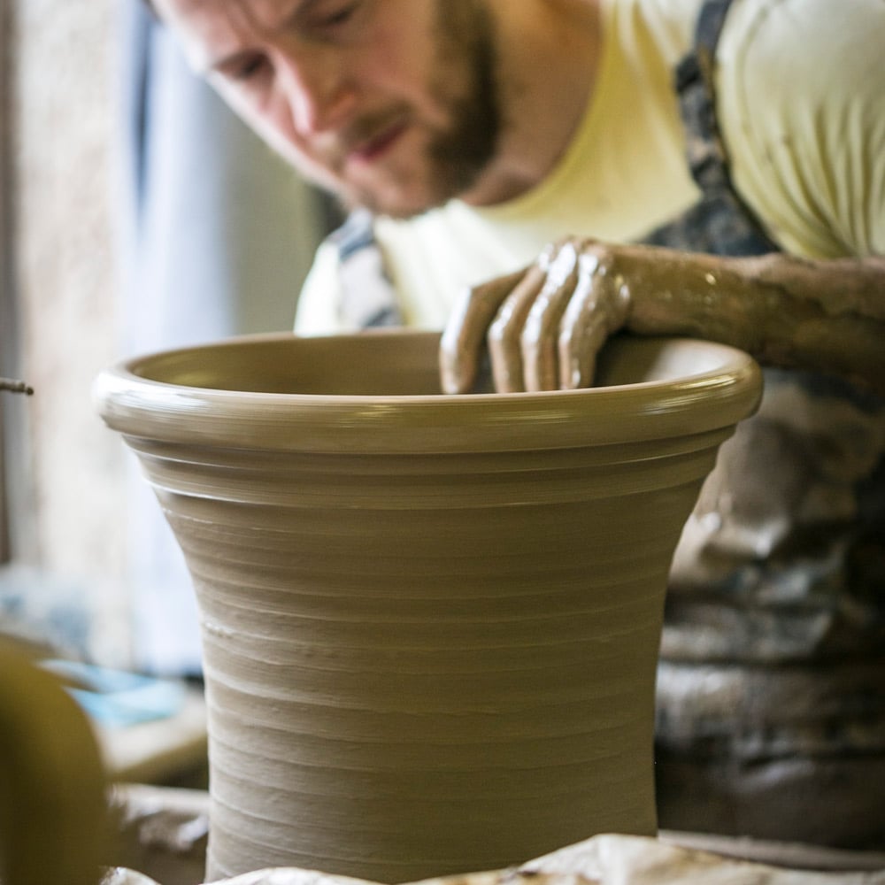 Whichford Wallpaper Tulip Pot